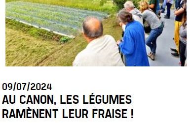 « Au Canon, les légumes ramènent leur fraise » – Au fil du PAT de la rive droite – Episode 3