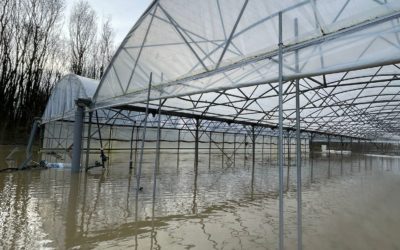 Inondation à Baurech – Février 2026