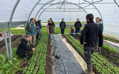 Formation maraichage – Cession #1